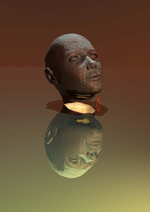 Framed Secrets of the Mind Print