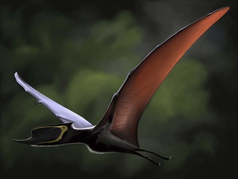 Framed Dsungaripterus Print