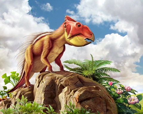 Framed Leptoceratops Print