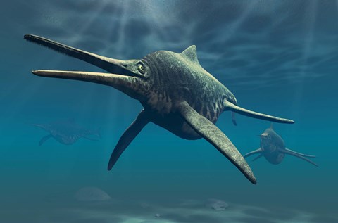 Framed Shonisaurus Print