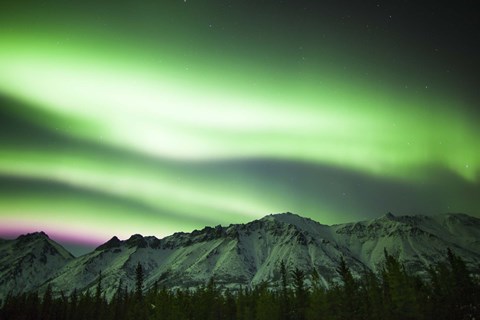 Framed Bright Aurora Borealis over Annie Lake Print