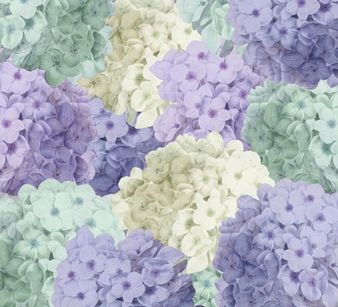 Framed Hortensia Groundless Cool Tones Print