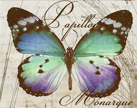 Framed Papillon I Print