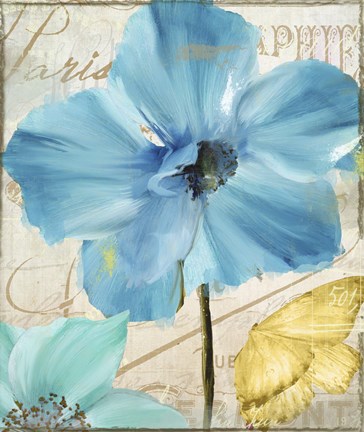 Framed Blue Mountain Poppy Print
