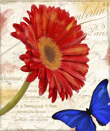 Framed Gerbera Daisy Print