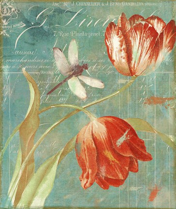 Framed Mandarin Tulips Print