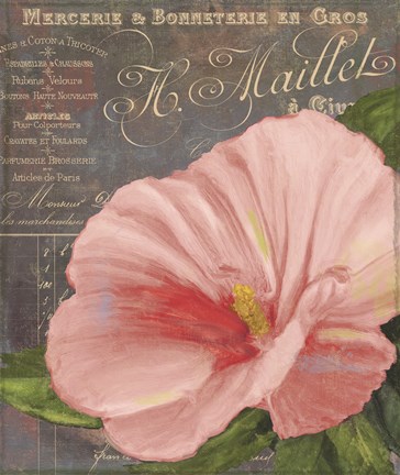 Framed Peach Hibiscus Print