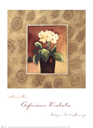 Framed African Violets Print
