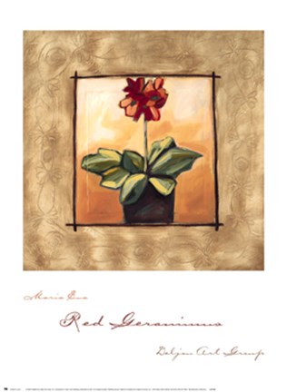 Framed Red Geraniums Print