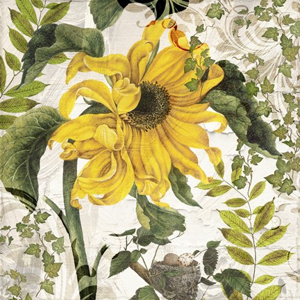 Framed Carina II Print