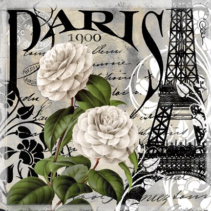 Framed Paris Blanc II Print