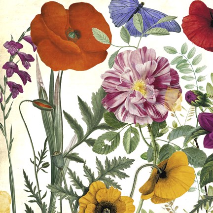 Framed Printemps II Print