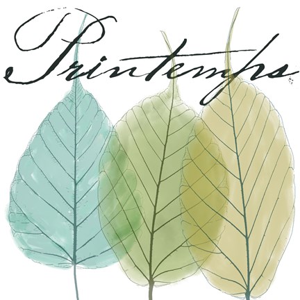 Framed Seasons I Print