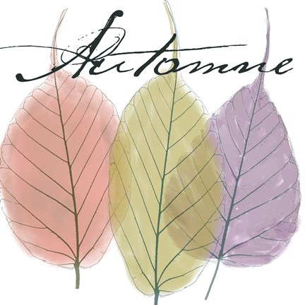 Framed Seasons II Print