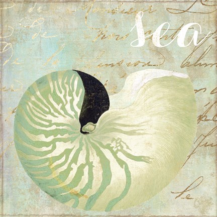 Framed Turquoise Beach I Print