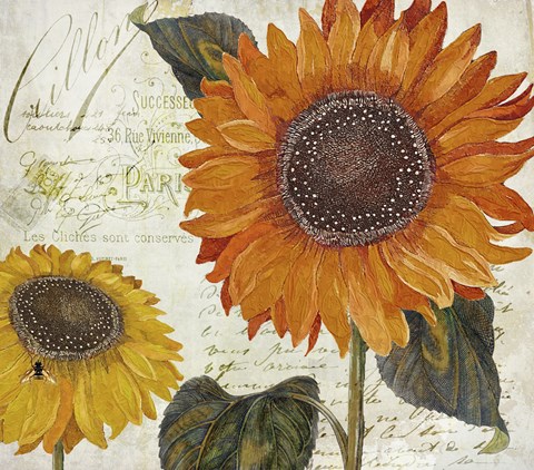 Framed Sundresses II Print