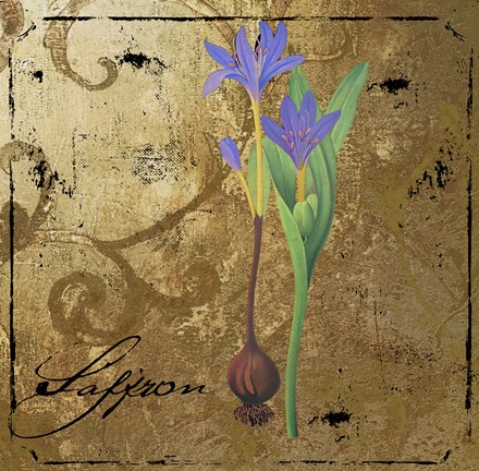 Framed Black Gold Herbs II Print