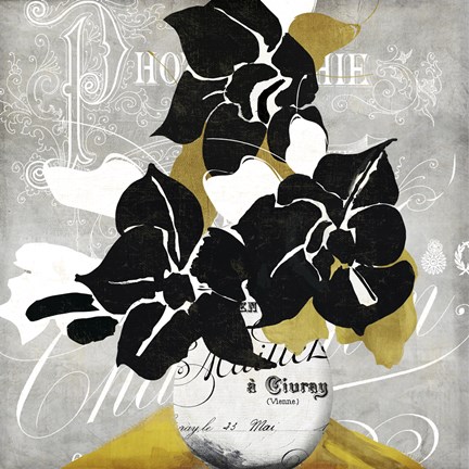 Framed Georgette I Print