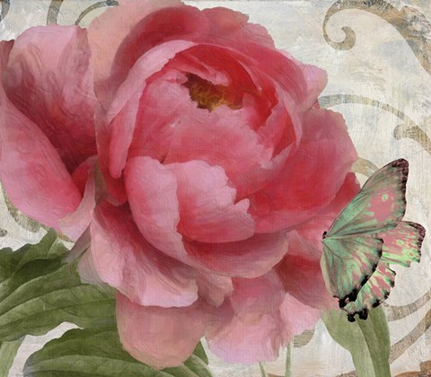 Framed Apricot Peonies II Print