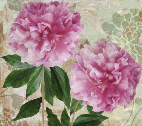 Framed Sonata I Print