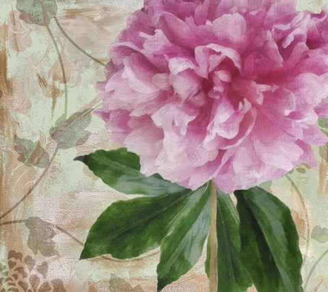 Framed Sonata II Print