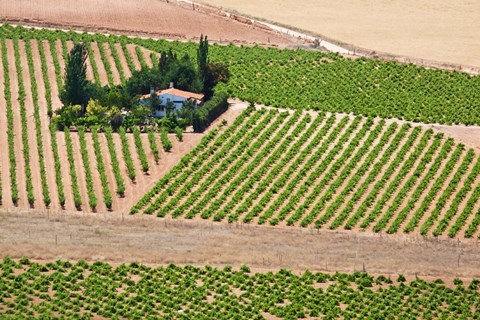 Framed Spain, Granada Crops of the Andalusia Valley Print