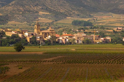Framed Village of Brinas surrounded by Vineyards, La Rioja Region, Spain Print