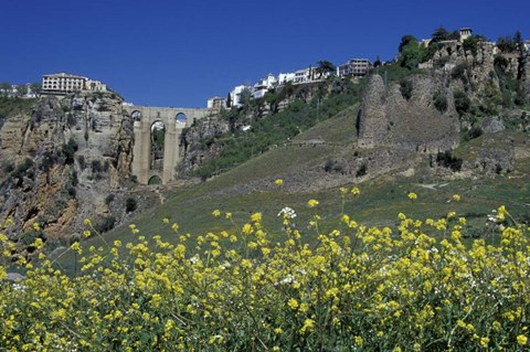 Framed Wildflowers in El Tajo Gorge and Punte Nuevo, Ronda, Spain Print