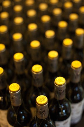 Framed Spain, Basque, Bodega Marques de Riscal Winery Print