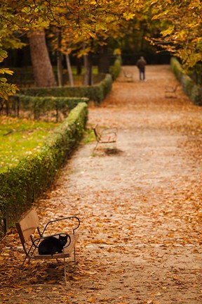 Framed Parque del Buen Retiro, Madrid, Spain Print
