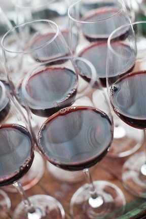Framed Wine Tasting, Bodega Marques de Riscal Winery, Elciego, Basque Country Region, Spain Print