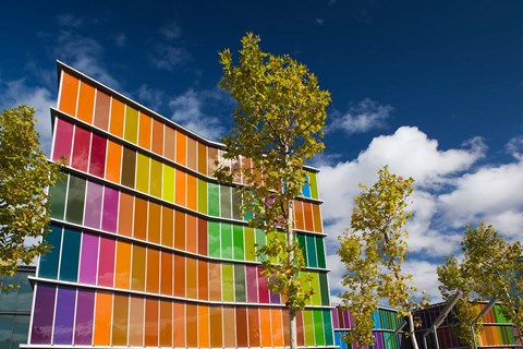 Framed Museo de Arte Contemporaneo, Leon, Spain Print