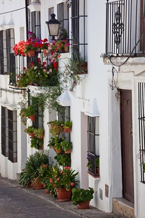 Framed Spain, Andalucia Region, Cadiz, Grazalema Potted plants by a home Print