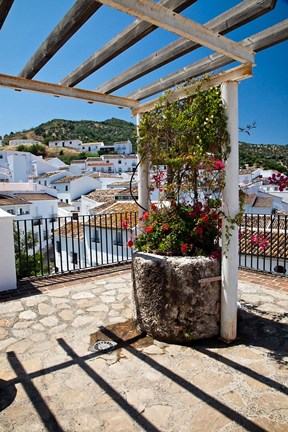 Framed Spain, Andalusia, Cadiz Province Potted plants Overlooking Rooftops Print