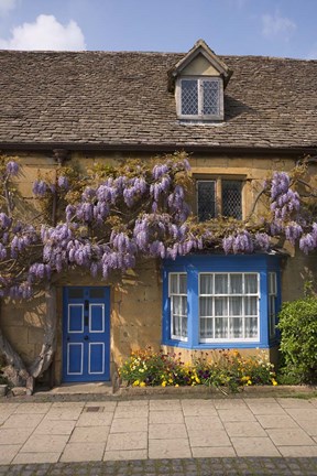 Framed Wisteria Covered Cottage, Broadway, Cotswolds, England Print
