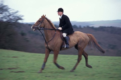 Framed Horseback riding, Leicestershire, England Print
