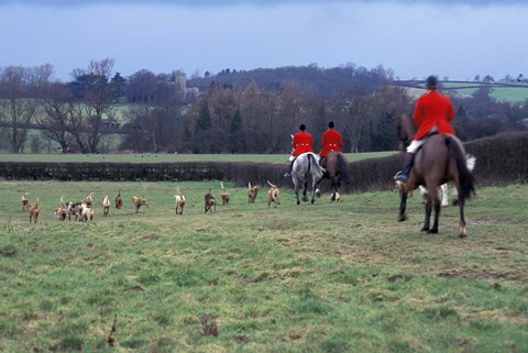 Framed Quorn Fox Hunt, Leicestershire, England Print