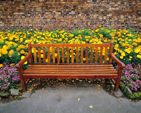 Framed England, Northumberland, Hexham, Park bench Print