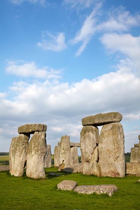 Framed Stonehenge, Wiltshire, England Print