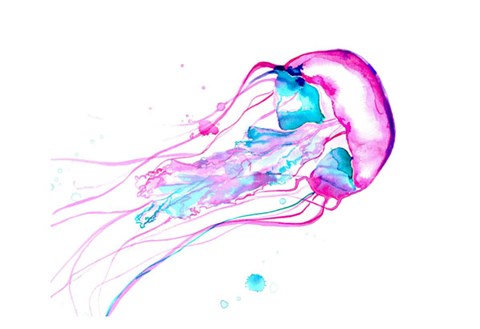 Framed Jellyfish Study No. 2 Print