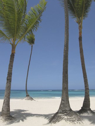 Framed Gran Bavarro II Print