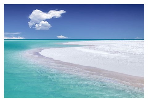 Framed Tropical Simplicity Print