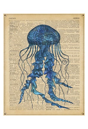 Framed Vintage Jellyfish Print