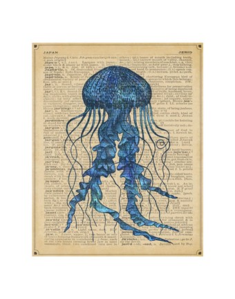 Framed Vintage Jellyfish Print