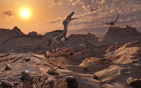 Framed Pack of Carnivorous Velociraptors from the Cretaceous Period Print