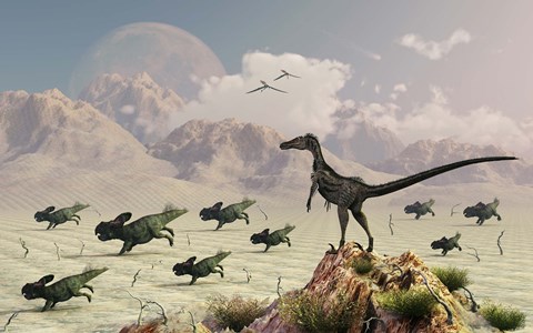 Framed Protoceratops stampede in fear as a Velociraptor Watches Print