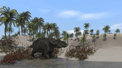 Framed Triceratops Walking along the Shoreline 1 Print