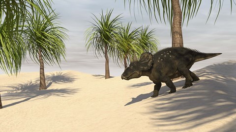 Framed Triceratops Walking in a Tropical Environment 2 Print