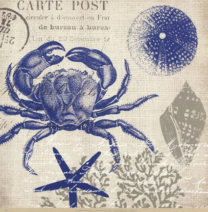 Framed Sea Collage II Print