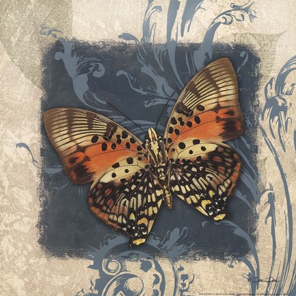 Framed Swirl Butterfly III Print